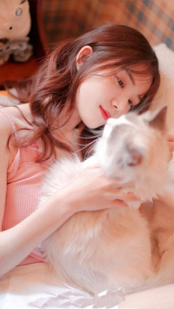 天国的阶梯国语在线观看免费平台