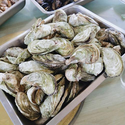 天国的阶梯国语免费观看安装流程